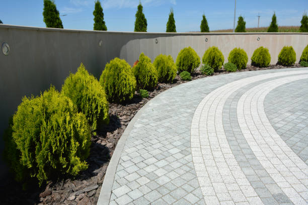 Best Best Driveway Pavers  in Polk City, IA